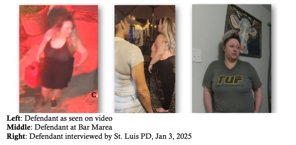 Puerto Rico pide orden de arresto contra mujer de Missouri que provocó incendios en Cabo Rojo 4